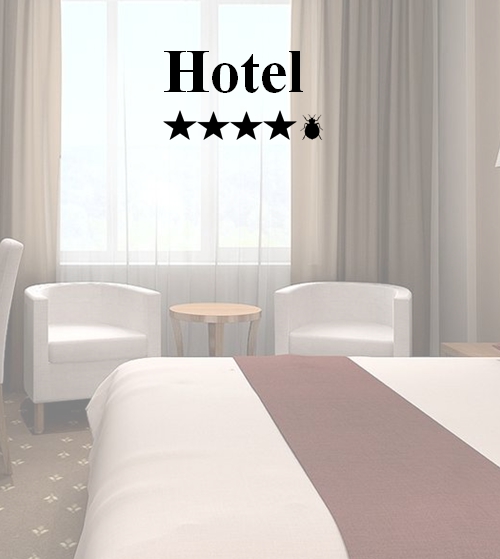 чтобы не плодились клопы в гостинице, ежедневно осматривайте кровати в номерах