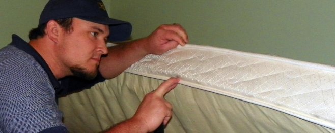 Проверка матраса на наличие клопов